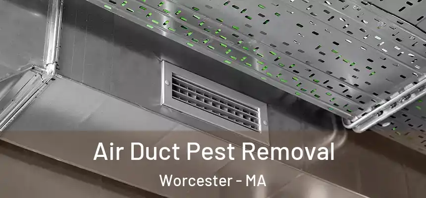 Air Duct Pest Removal Worcester - MA