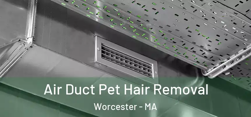 Air Duct Pet Hair Removal Worcester - MA