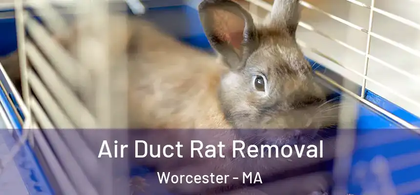 Air Duct Rat Removal Worcester - MA