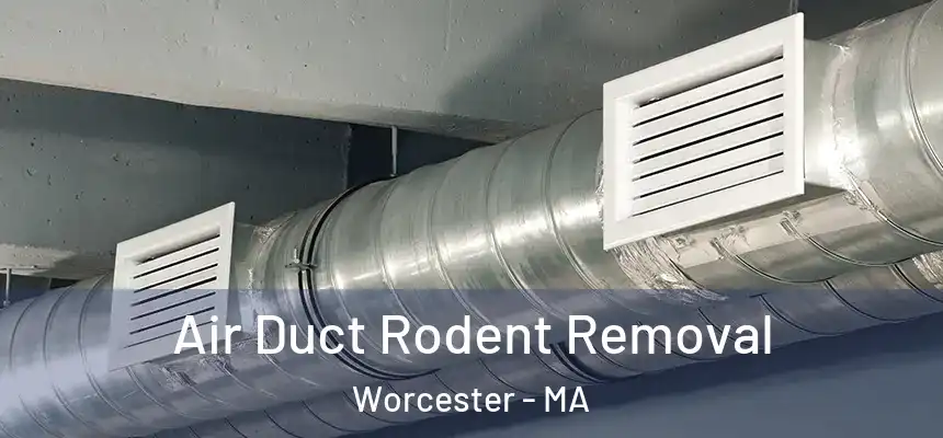 Air Duct Rodent Removal Worcester - MA
