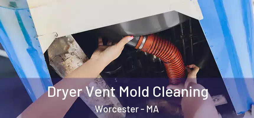 Dryer Vent Mold Cleaning Worcester - MA