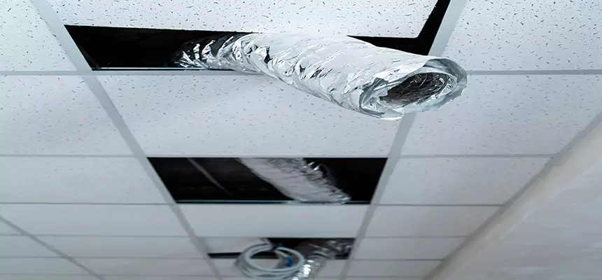 Our Air Duct Pet Hair Removal Services in Worcester, MA