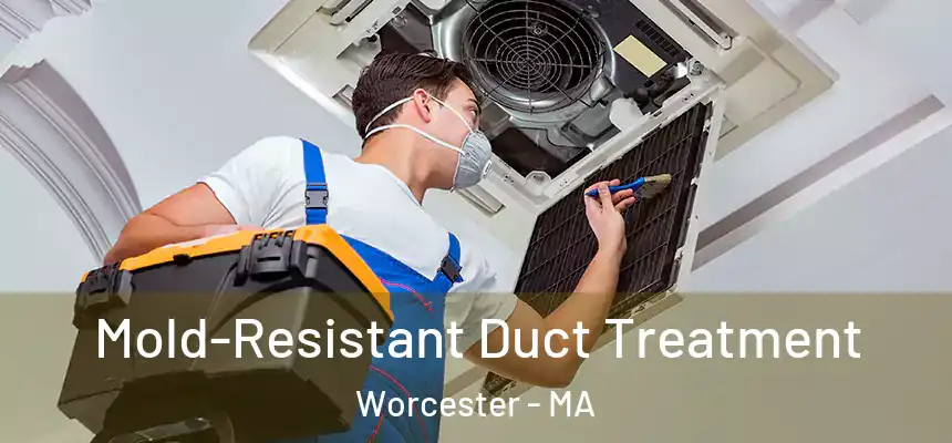 Mold-Resistant Duct Treatment Worcester - MA