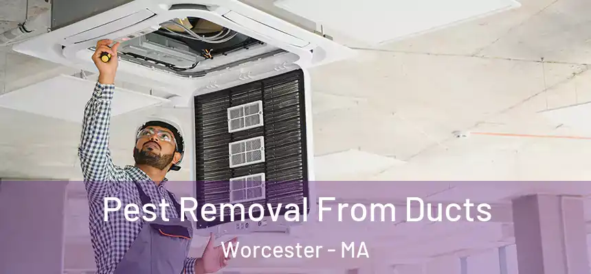 Pest Removal From Ducts Worcester - MA