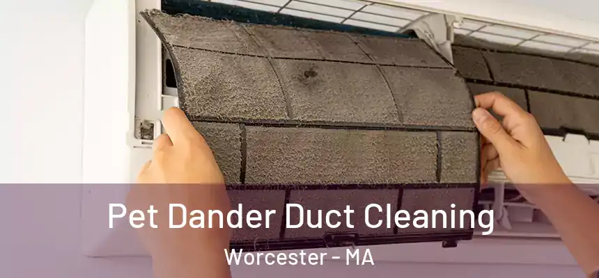 Pet Dander Duct Cleaning Worcester - MA