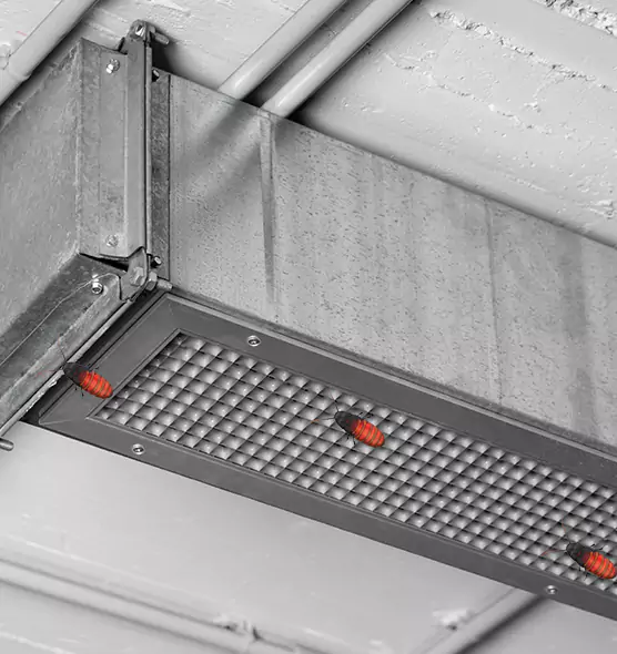 About Air Duct Cockroach Removal in Worcester, MA