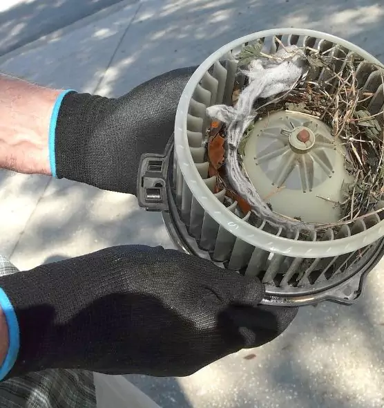 About Air Duct Mice Removal in Worcester, MA