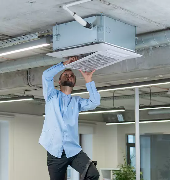 Advanced Rodent Droppings In Vents in Worcester, MA