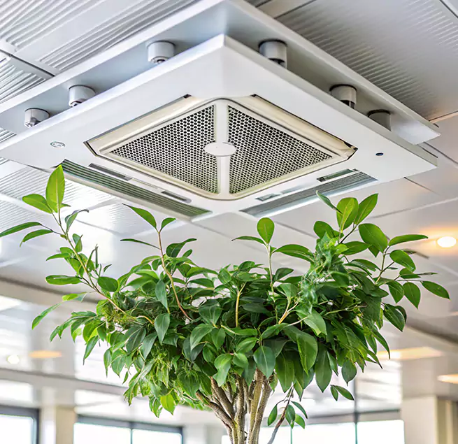 Why Homeowners & Businesses Trust Us in Worcester, MA?